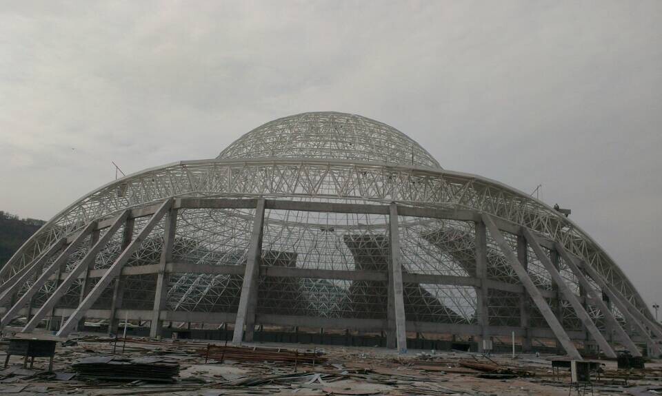 境外体育场馆网架工程