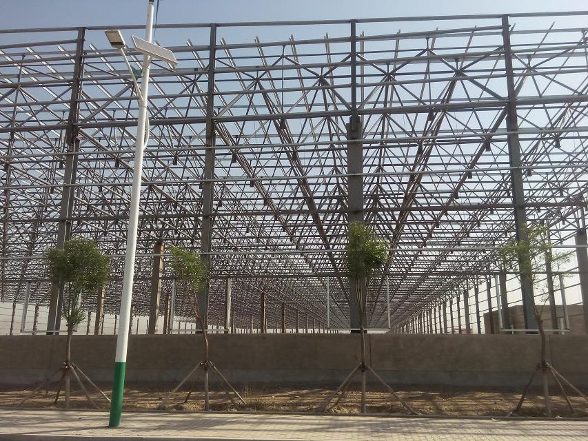 境外汽车工业厂房网架