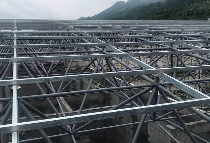 境外学校艺体楼网架